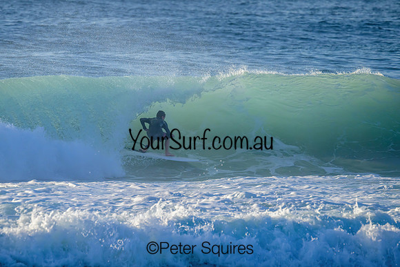 Avalon_230316_075051_01047