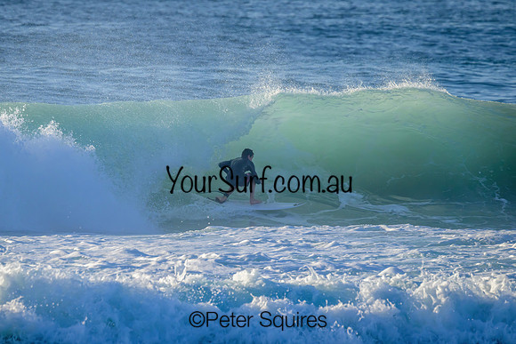 Avalon_230316_075051_01049