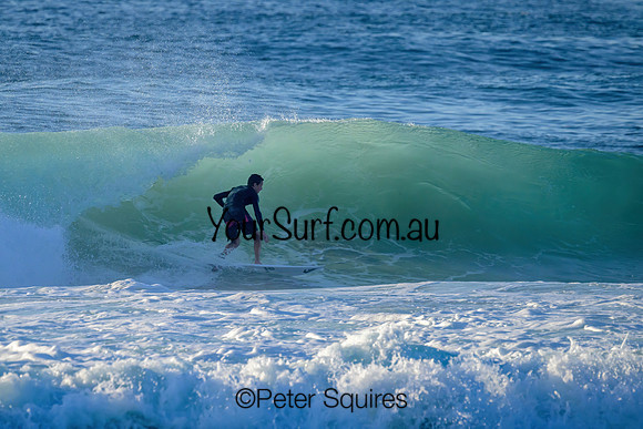 Avalon_230316_075051_01054