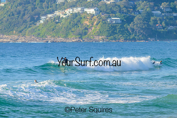 Palm_Beach_230319_083933_0140