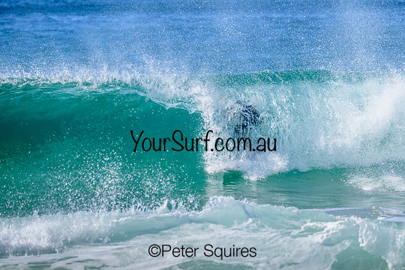 Warriewood_230504_100546_00298