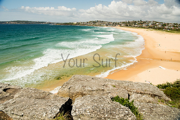 Curl_Curl_DSC0231