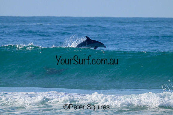 Avalon_230512_090727_01660
