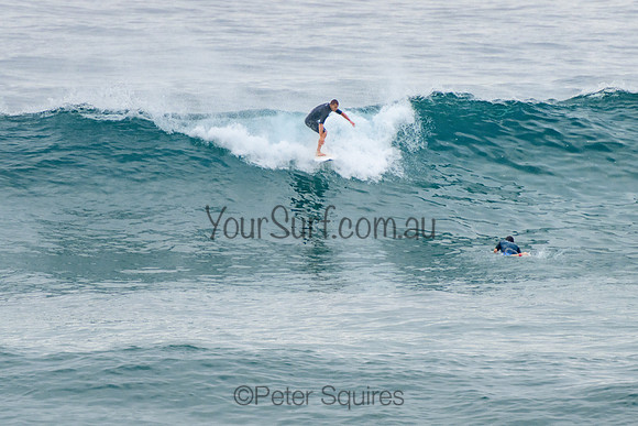 Mona_Vale_220117_072630_0101