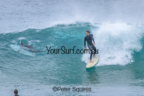 Avalon_230412_125150_00310
