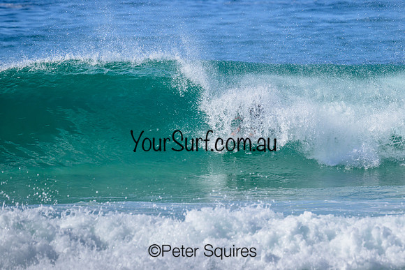 Warriewood_230504_103028_00501