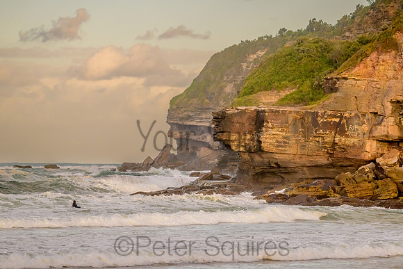 Warriewood_230509_160826_01036