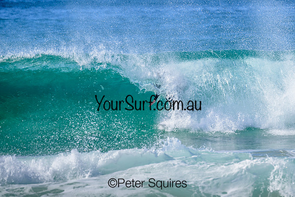 Warriewood_230504_100546_00299