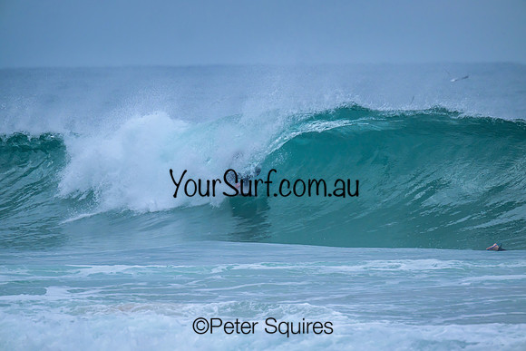 Whale_Beach_240708_111618_0248-E