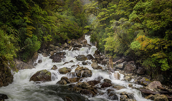 20181107-NZ_Lyvia_River_WIlmot Pass Rd-PS