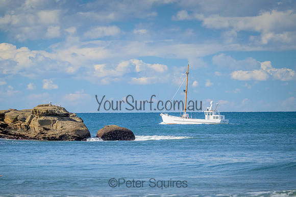 Whale_Beach_220814_135543_0047