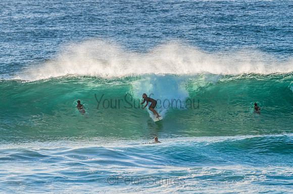 Avalon_210304_074354_0014