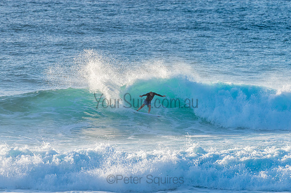 Avalon_210304_074455_0017