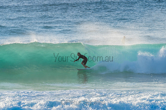 Avalon_210304_074924_0049