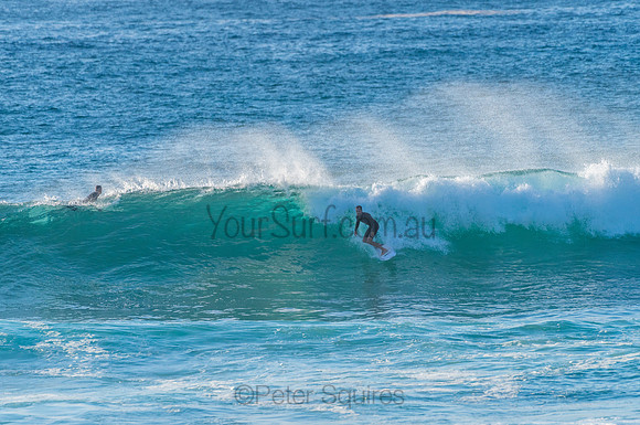 Avalon_210304_075654_0065