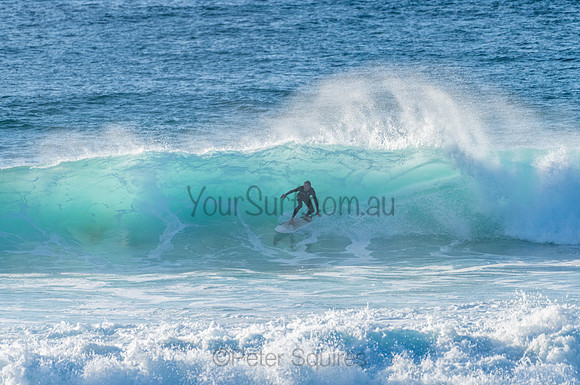 Avalon_210304_080443_0095