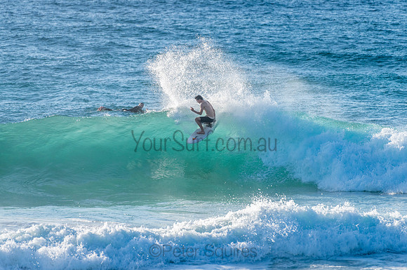 Avalon_210304_080754_0105