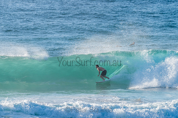 Avalon_210304_080755_0106