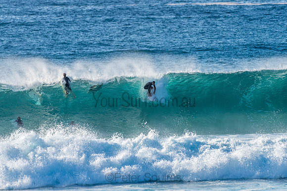 Avalon_210304_080924_0111