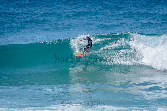 Avalon_210304_113003_0095