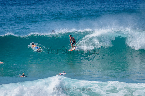 Avalon_210304_113108_0098