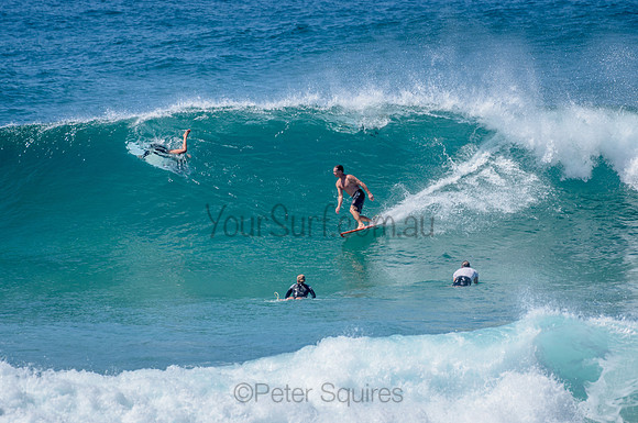 Avalon_210304_113108_0099
