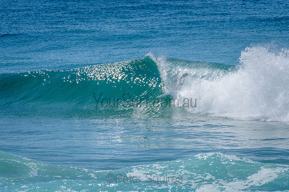 Avalon_210304_113721_0126