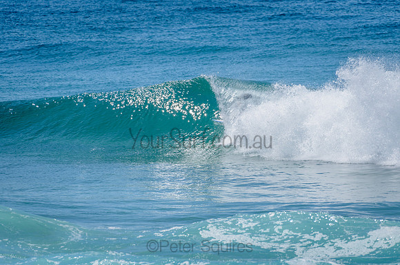 Avalon_210304_113721_0127