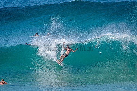 Avalon_210304_115242_0162