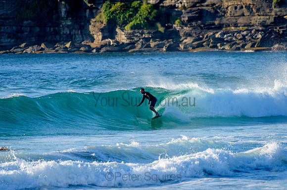 Whale Beach_210305_074215_0026