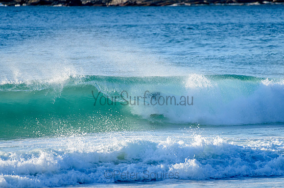 Whale Beach_210305_074219_0030