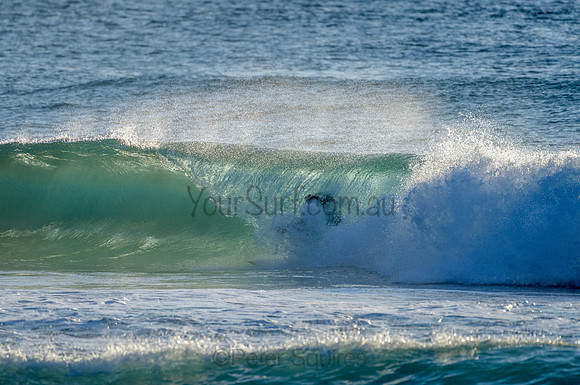 Whale Beach_210305_074243_0047