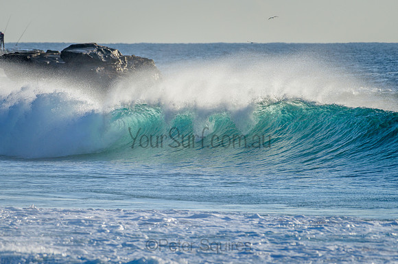 Whale Beach_210305_074957_0069