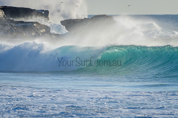 Whale Beach_210305_074959_0070