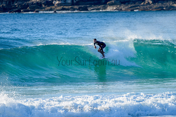 Whale Beach_210305_075128_0077