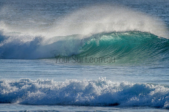 Whale Beach_210305_075853_0088