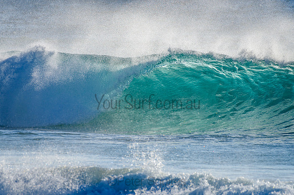 Whale Beach_210305_080727_0110