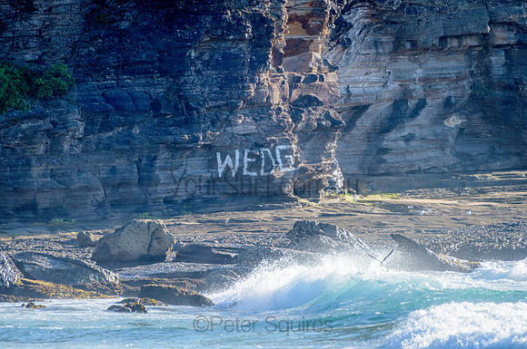 Whale Beach_210305_081509_0127