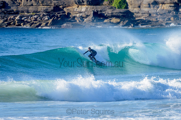 Whale Beach_210305_081641_0130