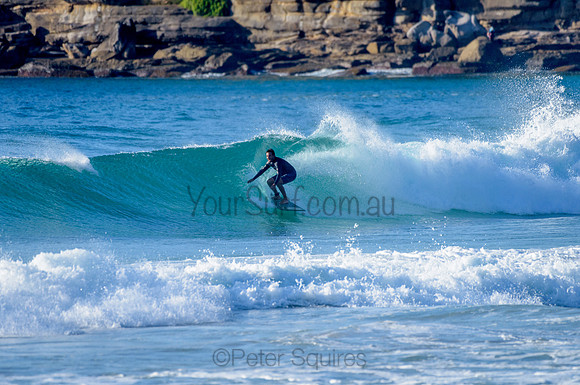 Whale Beach_210305_081642_0131