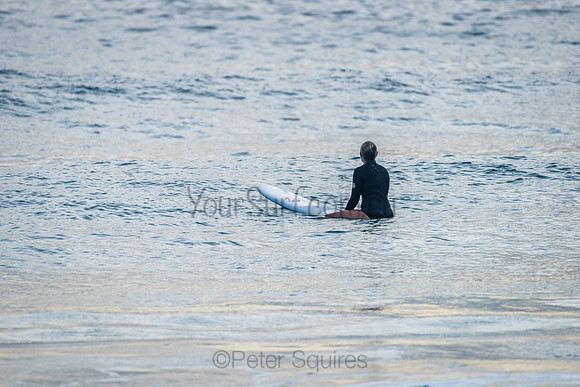 Avalon_210308_073633_0013