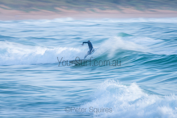 Avalon_210308_080104_0077