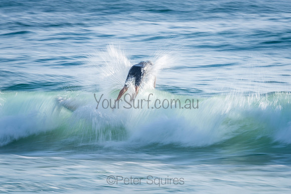 Avalon_210308_081917_0101