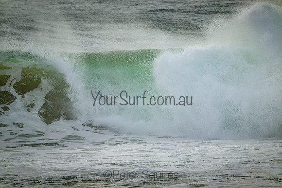 Whale_Beach_220305_081907_0169