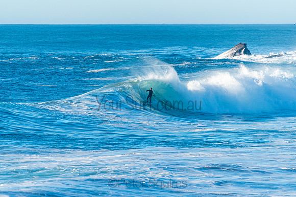 Sth_Avalon_210324_080545_0043