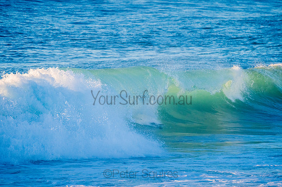 Avalon_210324_072933_0037