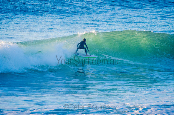 Avalon_210324_073439_0077