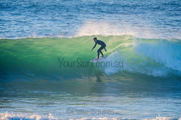 Avalon_210324_073536_0081