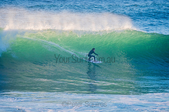 Avalon_210324_073600_0083