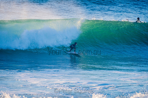 Avalon_210324_073600_0088